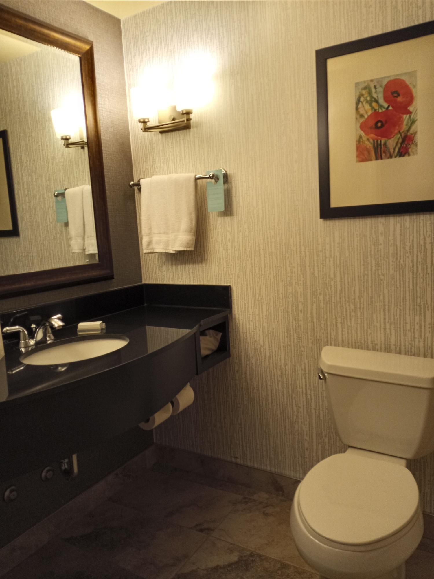 Hilton Garden Inn Calgary Airport Exteriér fotografie